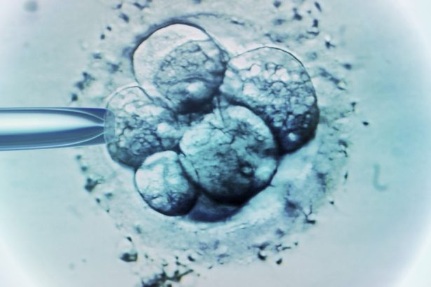 cum a ajuns o femeie din australia sa nasca copilul unei necunoscute clinica de fertilitate responsabila nu este la prima eroare 67f82a4fd96f5