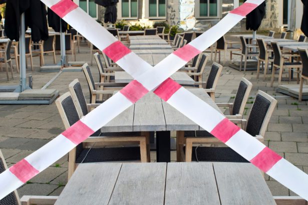 descoperire socanta intr un restaurant din madrid porumbei de pe strada serviti in loc de rata politia a deschis ancheta 67f50487d9255
