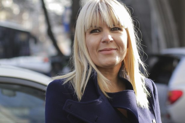 elena udrea cere scaderea a 150 de zile din pedeapsa tribunalul prahova asteptat sa se pronunte in contestatia la executare 6810a36b18783