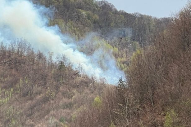 incendiul de padure din arges a fost stins dupa cinci zile in care pompierii s au luptat cu flacarile 6807f0d4b382c