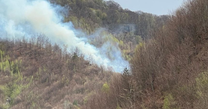 incendiul de padure din arges a fost stins dupa cinci zile in care pompierii s au luptat cu flacarile 6807f0d4b382c