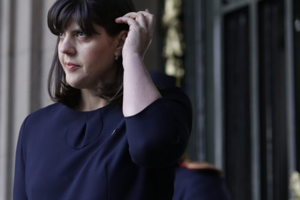 judecatorii au anulat condamnarea primita de denuntatorul lui coldea trimis in judecata de parchetul european condus de laura kovesi 67f658223d984