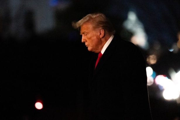 lupta pentru pamanturi rare ce planuieste donald trump pentru a reduce dependenta fata de china financial times 67fa78eedb12f