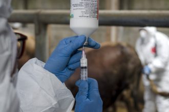 marea britanie interzice branza si carnea din ue pentru a opri raspandirea febrei aftoase 6800d3bb1e7d1