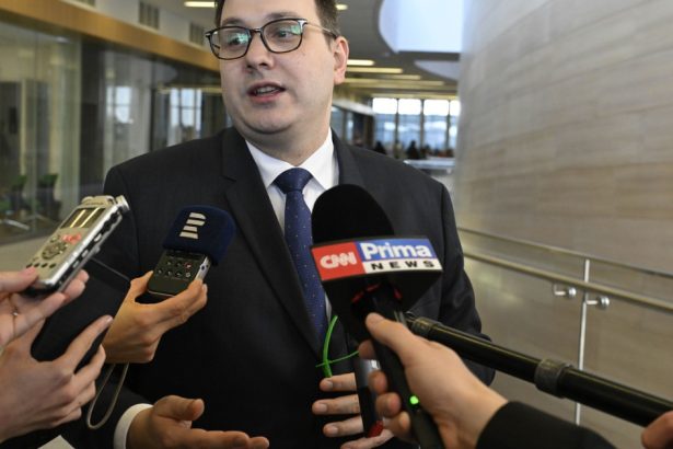 ministrul ceh de externe despre armistitiul lui putin e ca si cum ai declara greva foamei in timp ce mananci in secret dulciuri 6805223bad40c