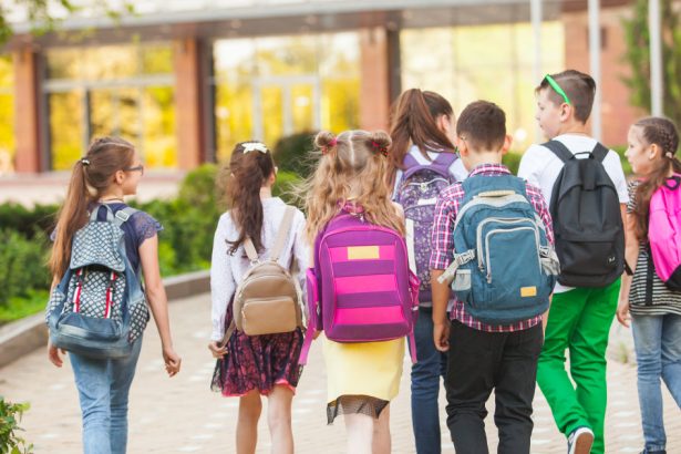 minivacanta pentru elevi si profesori de 1 mai de cand se intorc copiii la scoala pentru ultimul modul de cursuri 6805c42fa965c