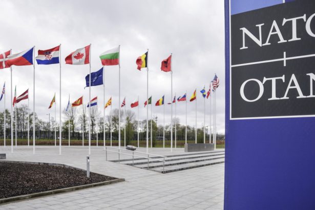 oficialii nato isi ajusteaza limbajul legat de clima gen si diversitate pentru a face pe plac administratiei trump politico 680320f59f114