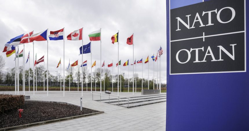 oficialii nato isi ajusteaza limbajul legat de clima gen si diversitate pentru a face pe plac administratiei trump politico 680320f59f114