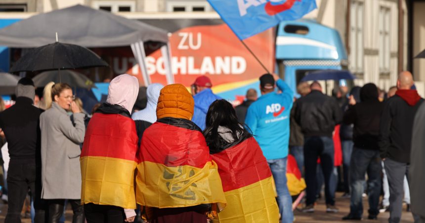 partidul german de extrema dreapta afd si a dizolvat filiala extremista de tineret pentru a evita interdictia 67eb891852b43