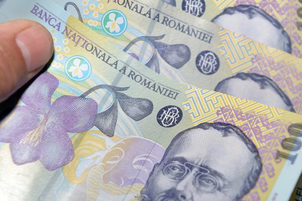 persoanele fizice pot investi in titluri de stat fidelis denominate in lei si in euro incepand de vineri ce dobanzi sunt propuse 67ebb258d5504