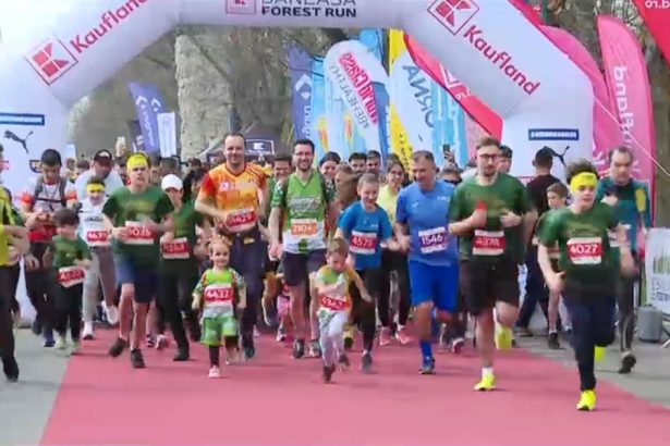 peste 2 300 de sportivi amatori au participat la cea mai populara competitie de alergat din padurea baneasa 67ff665acec7b