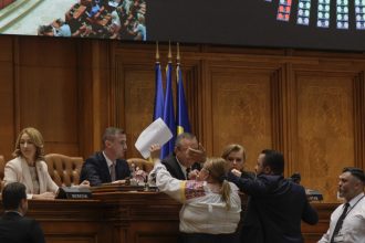 proiect de lege persoanele agresive risca o interdictie de doi ani in palatul parlamentului 67f90355ed012