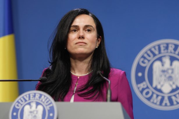 senatul dezbate si voteaza astazi motiune simpla a aur impotriva simonei bucura oprescu 680f3ccdc14c4