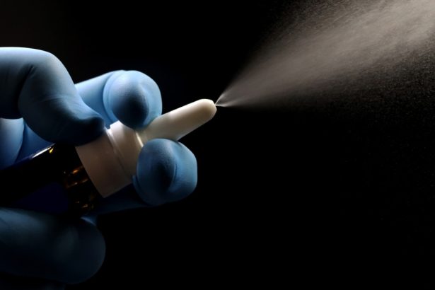 vaccin nazal impotriva gripei aviare h5n1 dezvoltat de cercetatorii din hong kong ar putea preveni declansarea unei pandemii 67f12be954879