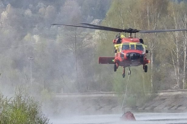 video a treia zi in care elicopterul black hawk intervine ca sa stinga incendiul de padure din arges din ce cauza a luat foc vegetatia 6804dc275505b