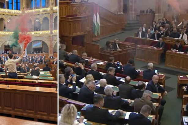 video deputati din opozitie suspendati din parlamentul ungariei dupa un protest cu fumigene la votul de interzicere a marsurilor pride 680fa0bf8189b