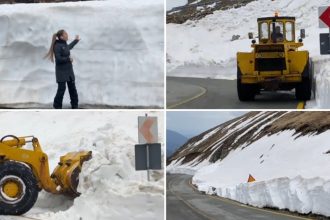 video deszapezirea pe transalpina continua imagini cu troienele de pe marginea soselei care ating chiar si doi metri inaltime 6809e6645cbf7