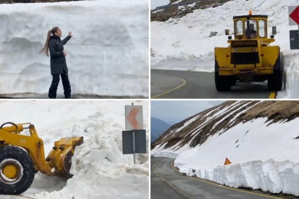 video deszapezirea pe transalpina continua imagini cu troienele de pe marginea soselei care ating chiar si doi metri inaltime 6809e6645cbf7