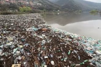 video dunarea sufocata de gunoaie tone de deseuri aduse de viitura la orsova autoritatile intervin cu utilaje grele 67ebbbea015ca