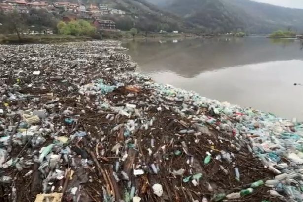 video dunarea sufocata de gunoaie tone de deseuri aduse de viitura la orsova autoritatile intervin cu utilaje grele 67ebbbea015ca