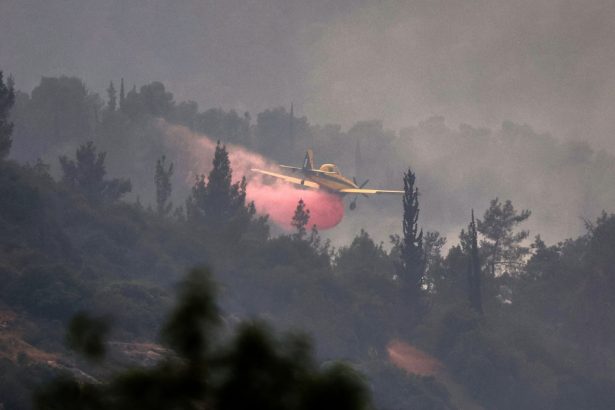 video incendii in apropiere de ierusalim drumuri blocate si mai multe localitati evacuate 68121edcadab9