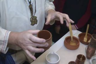 video leacuri dacice si demonstratii de farmacie straveche cu plante medicinale pot fi vazute la muzeul din arad 67f1862600405