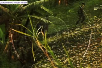 video politisti si jandarmi romani au lucrat ca mercenari in congo in timpul serviciului activ ce arata un raport al ministerului de interne 67ee830c03f41