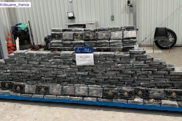 video sofer roman prins cu peste 400 de kilograme de cocaina in franta a fost condamnat la 10 ani de inchisoare 67f90a24d2e04