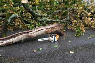 video trump a plantat in curtea casei albe cu ajutorul unei lopeti de aur o maganolie copacul a inlocuit celebra magnolie jackson 67f67d6758736