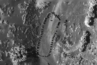 video trump a publicat un videoclip in care mai multe persoane sunt lovite de o explozie in yemen oops acesti houthi nu vor mai ataca 67f0d172d4eb2
