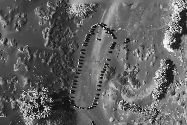 video trump a publicat un videoclip in care mai multe persoane sunt lovite de o explozie in yemen oops acesti houthi nu vor mai ataca 67f0d172d4eb2