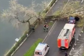 video un copac a cazut peste o masina pe un bulevard intens circulat din capitala 67f7eec6443f6