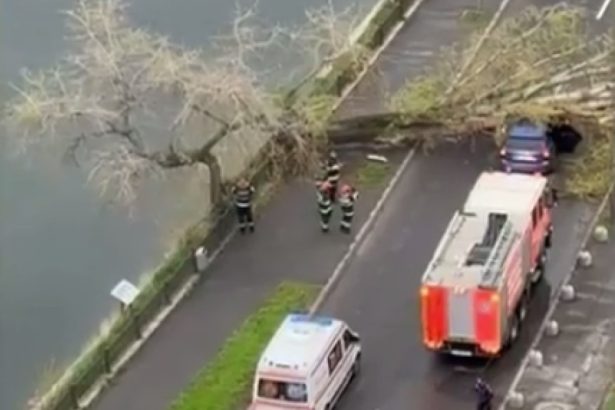 video un copac a cazut peste o masina pe un bulevard intens circulat din capitala 67f7eec6443f6