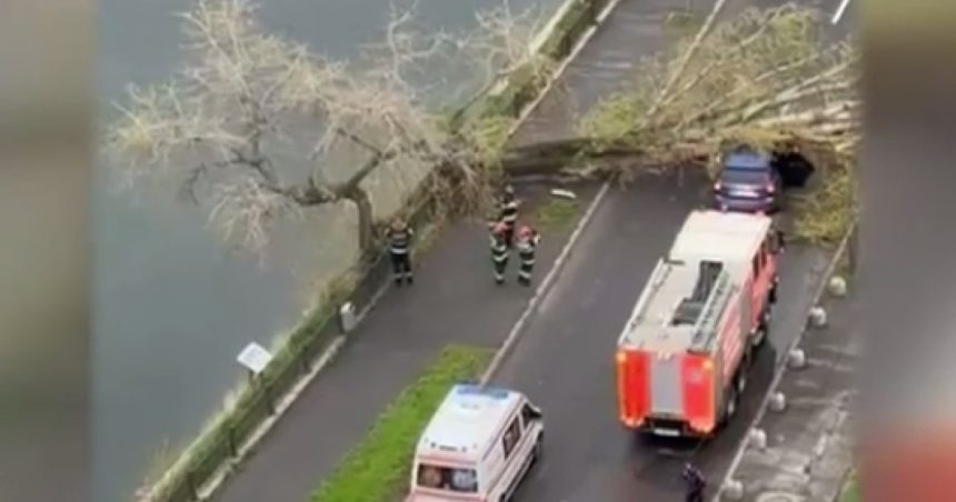 video un copac a cazut peste o masina pe un bulevard intens circulat din capitala 67f7eec6443f6