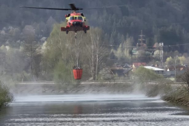 videofoto incendiul de vegetatie din arges focul e extins pe 24 de hectare de padure iar elicopterul si a reluat interventia 68037c9758e8e