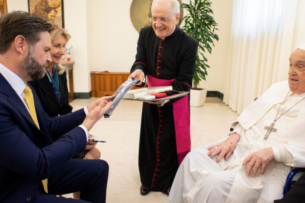 videofoto reactia lui jd vance la moartea papei vicepresedintele sua a avut duminica o scurta intrevedere cu suveranul pontif 680621f017377