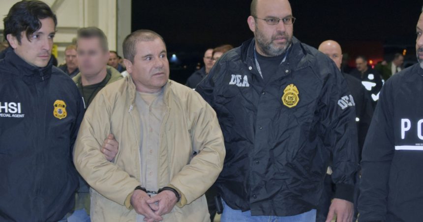 17 membri ai familiei lui el chapo s au predat autoritatilor americane ar putea fi inclusi in programul de protectie a martorilor 68232d40e0d3b