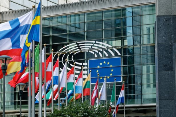 altercatie intre o eurodeputata suedeza de origine romana si o angajata de la un alt grup parlamentar care a fost motivul 682f6f8e2ab54