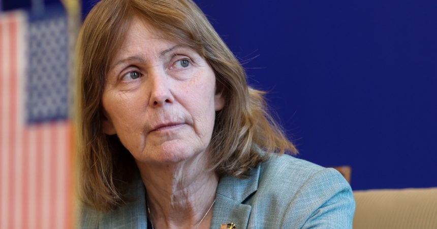 ambasadoarea sua la bucuresti kathleen kavalec se retrage michael dickerson va ocupa functia de charge daffaires ad interim 682c278c05b1c
