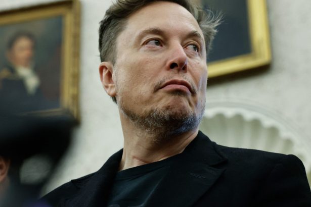 anuntul lui elon musk dupa scurta defectiune x mliardarul va avea mai putin timp pentru administratia trump 683310d5ef050