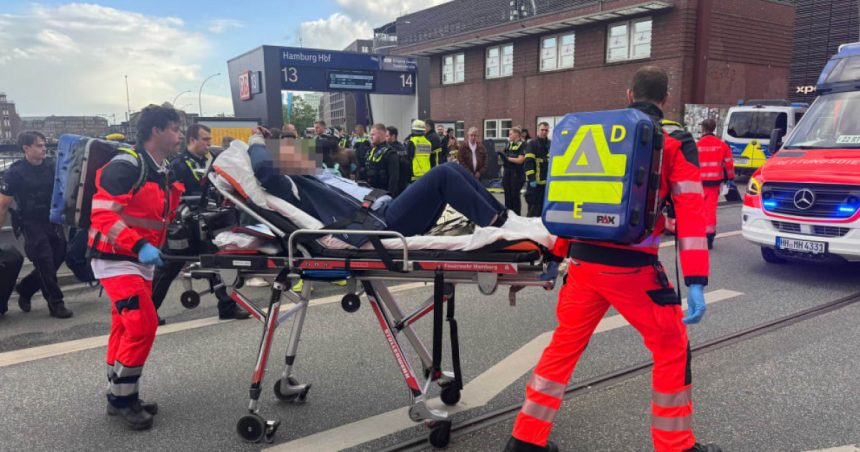 atac cu cutitul in gara centrala din hamburg ce spun politistii despre femeia care a ranit 18 oameni 6831defd20909