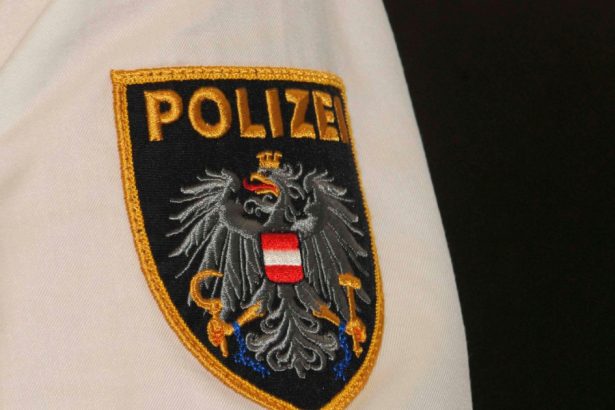 austria investigheaza o campanie rusa de dezinformare pe scara larga actiuni online si offline 6819ded49dff0