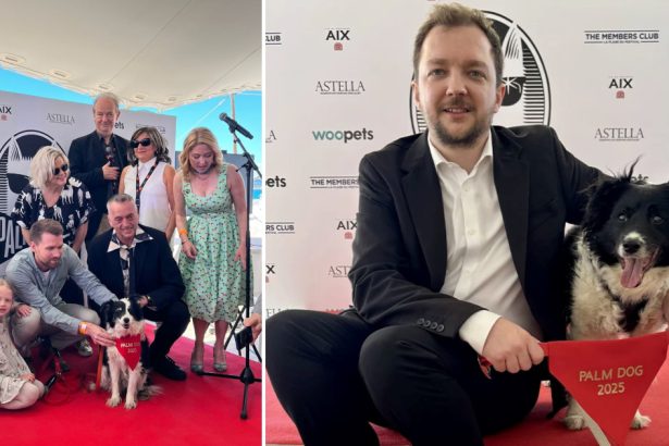 cannes 2025 un ciobanesc islandez a primit trofeul palme dog pentru cea mai buna interpretare canina 68337349278d1