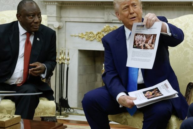 ce altceva ar fi putut face cyril sud africanii lauda calmul presedintelui lor dupa ambuscada intinsa de donald trump la casa alba 682f1c5810a53
