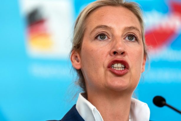 ce spune ministrul german de interne despre posibilitatea interzicerii partidului extremist afd 682cd13b0b4be