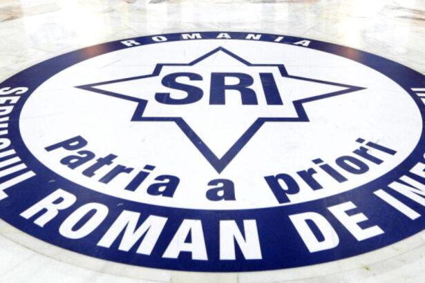 cine ar putea ajunge la sefia sri sau sie sorin grindeanu si ludovic orban neaga o eventuala functie 683afe13eafa0