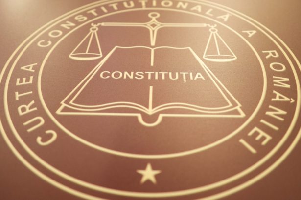 cine este functionara care a provocat decizia ccr legata de secretizarea declaratiilor ce avere are 683892d89ef81