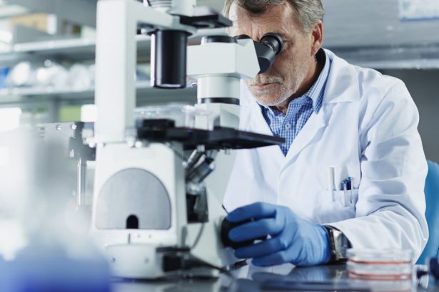 comisia europeana vrea un proces mai rapid de acordare a vizelor pentru cercetatorii americani de top 6824bbb2839a7