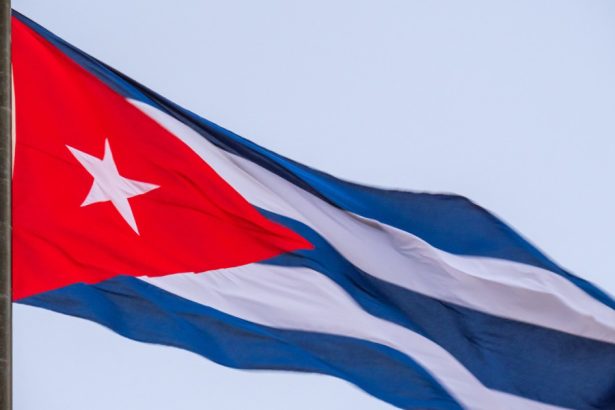 cuba acuza ue si statele unite de ingerinta in probleme de politica interna dupa arestarea a doi disidenti 681320aae2fa5