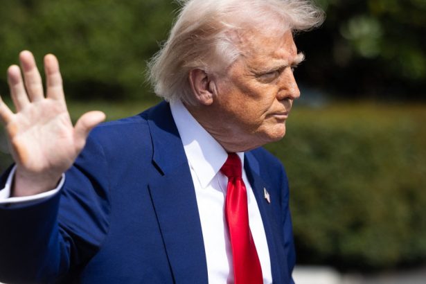 donald trump ironizat pe wall street cu porecla taco trade cum a reactionat cand a aflat 683849f50c9a6